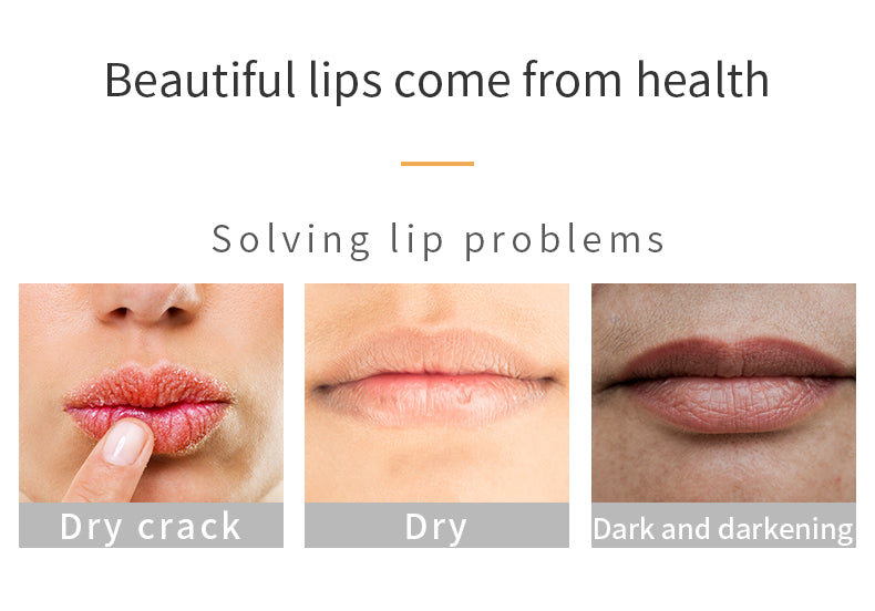 Baume à lèvres à la carotte Cosmétiques Beauté Fabricant de soins pour les lèvres Usine