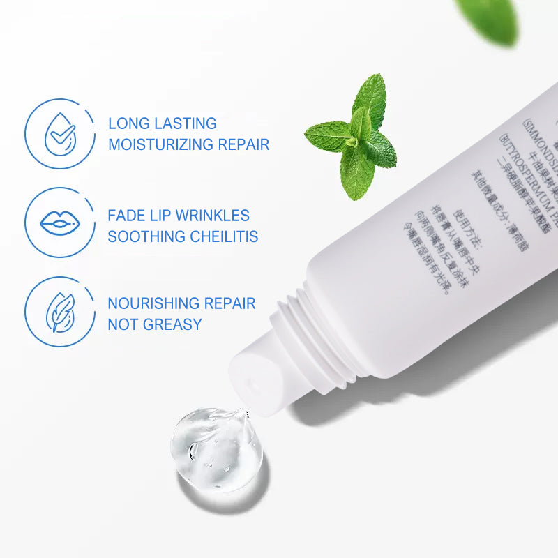 Bálsamo labial hidratante de oliva Fabricantes de cosméticos personalizados OEM